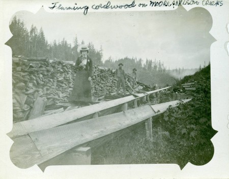 Moore/Nelson Flume near Stevenson, WA., early 1900's.